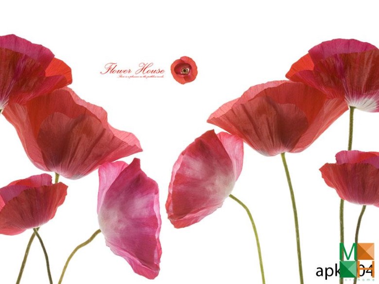 Tranh dán tường phòng ăn APK - 004