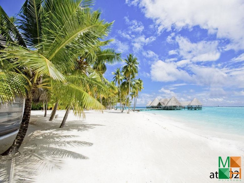 Tranh dán tường phong cảnh 3d cao cấp tại Hà Nội AT - 002