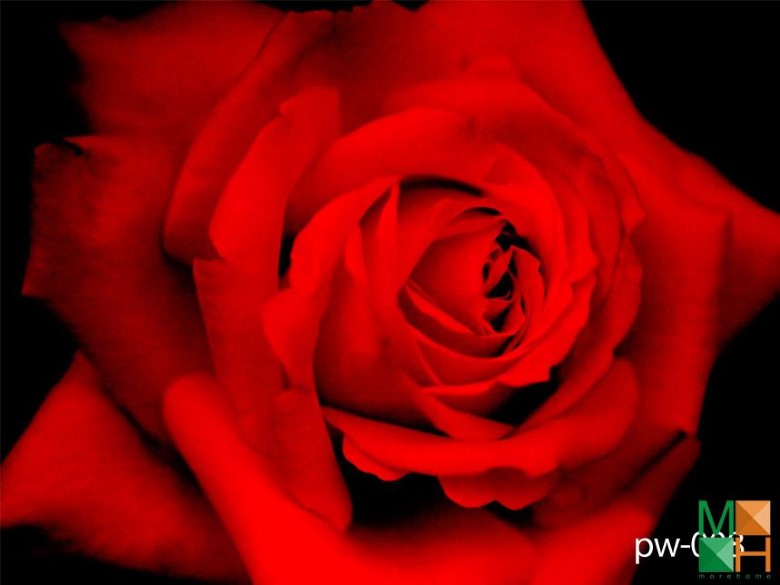 Tranh dán tường phòng bếp PW - 008