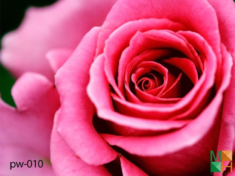 Tranh dán tường phòng bếp PW - 010