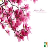 Tranh dán tường 3d đẹp cho phòng ngủ FW - 004