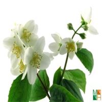 Tranh dán tường 3d đẹp cho phòng ngủ FW - 006