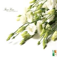 Tranh dán tường 3d đẹp cho phòng ngủ FW - 009