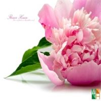 Tranh dán tường 3d đẹp cho phòng ngủ FW - 010