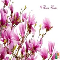 Tranh dán tường 3d đẹp cho phòng ngủ tại Hà Nội FW - 012