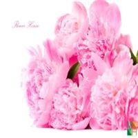 Tranh giấy dán tường phòng ngủ đẹp tại Hà Nội FW - 019