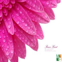 Tranh giấy dán tường phòng ngủ đẹp tại Hà Nội FW - 029