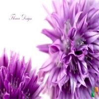 Tranh dán tường phòng ngủ đẹp tại Hà Nội FW - 031