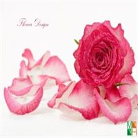 Tranh dán tường phòng ngủ đẹp tại Hà Nội FW - 033