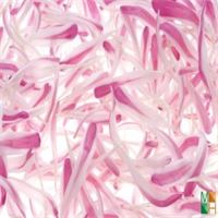 Tranh dán tường Hàn Quốc đẹp cho phòng ngủ FW - 038