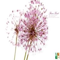 Tranh dán tường Hàn Quốc đẹp cho phòng ngủ FW - 039