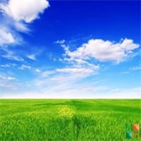 Tranh dán tường Hàn Quốc 3d khổ lớn tại Hà Nội NA - 292