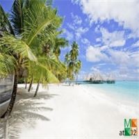 Tranh dán tường phong cảnh 3d cao cấp tại Hà Nội AT - 002