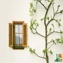  Tranh dán tường phong cảnh 3d cao cấp hình cửa sổ tại Hà Nội AT - 005