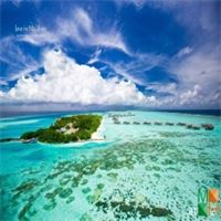 Tranh dán tường phong cảnh 3d cao cấp tại Hà Nội AT - 102