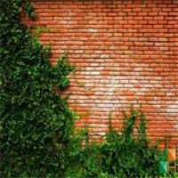 Tranh dán tường Hàn Quốc 3d khổ lớn ở Hà Nội NA - 008