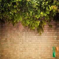 Tranh dán tường Hàn Quốc 3d khổ lớn ở Hà Nội NA - 020