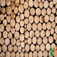 Tranh dán tường Hàn Quốc 3d khổ lớn ở Hà Nội NA - 055