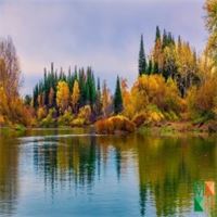 Tranh dán tường Hàn Quốc 3d khổ lớn ở Hà Nội NA - 422