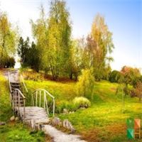 Tranh dán tường Hàn Quốc 3d khổ lớn ở Hà Nội NA - 423