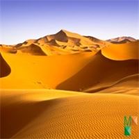 Tranh dán tường Hàn Quốc 3d khổ lớn ở Hà Nội NA - 431