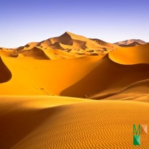 Tranh dán tường Hàn Quốc 3d khổ lớn ở Hà Nội NA - 431