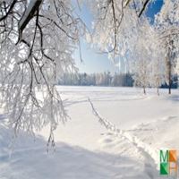 Tranh dán tường Hàn Quốc 3d khổ lớn ở Hà Nội NA - 434