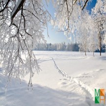  Tranh dán tường Hàn Quốc 3d khổ lớn ở Hà Nội NA - 434