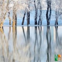 Tranh dán tường Hàn Quốc 3d khổ lớn ở Hà Nội NA - 437