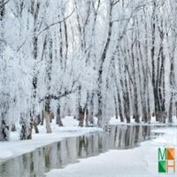 Tranh dán tường Hàn Quốc 3d khổ lớn ở Hà Nội NA - 438