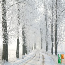  Tranh dán tường Hàn Quốc 3d khổ lớn ở Hà Nội NA - 441