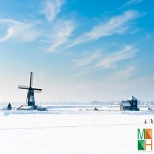  Tranh dán tường Hàn Quốc 3d khổ lớn ở Hà Nội NA - 443