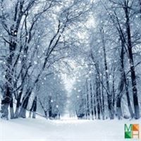 Tranh dán tường Hàn Quốc 3d khổ lớn ở Hà Nội NA - 444