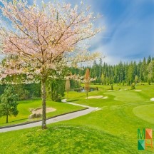  Tranh dán tường Hàn Quốc 3d khổ lớn ở Hà Nội NA - 451