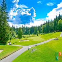  Tranh dán tường Hàn Quốc 3d khổ lớn ở Hà Nội NA - 452