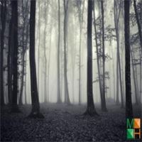 Tranh dán tường Hàn Quốc 3d khổ lớn ở Hà Nội NA - 459