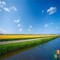 Tranh dán tường Hàn Quốc 3d khổ lớn ở Hà Nội NA - 462