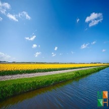  Tranh dán tường Hàn Quốc 3d khổ lớn ở Hà Nội NA - 462