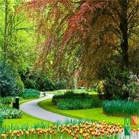 Tranh dán tường Hàn Quốc 3d khổ lớn ở Hà Nội NA - 464