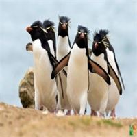 Tranh dán tường Hàn Quốc 3d khổ lớn cho bé tại Hà Nội DW - 359