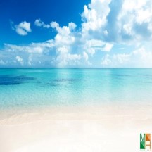 Tranh dán tường 3d kích thước lớn tại hà nội BE - 085