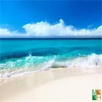 Tranh dán tường 3d kích thước lớn tại hà nội BE - 086