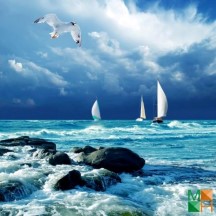 Tranh dán tường 3d kích thước lớn tại hà nội BE - 087