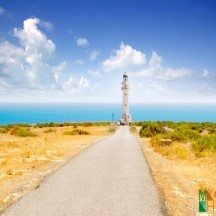 Tranh dán tường phong cảnh khổ lớn tại Hà Nội BE - 102