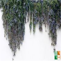 Tranh dán tường Hàn Quốc 3d khổ lớn tại Hà Nội NA - 021