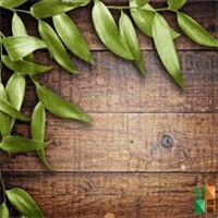 Tranh dán tường Hàn Quốc 3d khổ lớn tại Hà Nội NA - 038