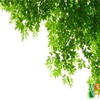 Tranh dán tường Hàn Quốc 3d khổ lớn tại Hà Nội NA - 072