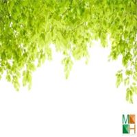 Tranh dán tường Hàn Quốc 3d khổ lớn tại Hà Nội NA - 083