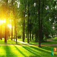 Tranh dán tường Hàn Quốc 3d khổ lớn tại Hà Nội NA - 122