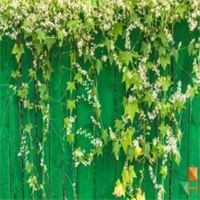 Tranh dán tường cho phòng khách đẹp tại Hà Nội NA - 031